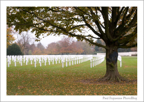 Cimetiere-americain-Henri-Chapelle-02