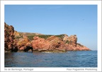 berlenga-03