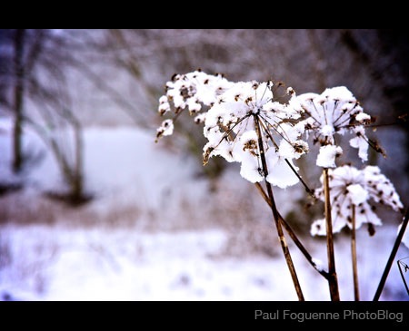 habay-fevrier-2010