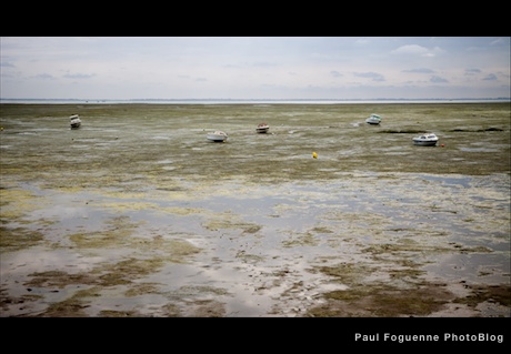 oleron